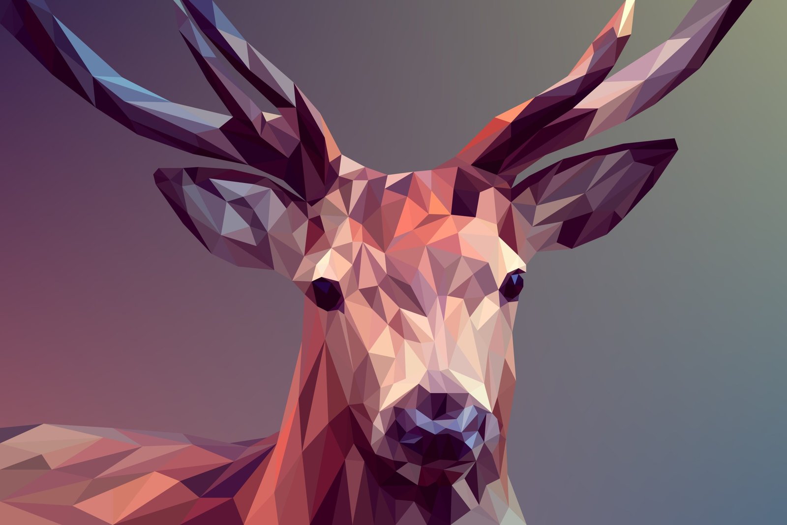 gallery-06 deer-3275594